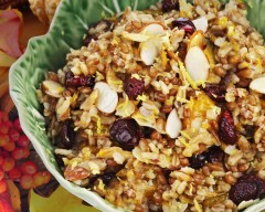 Cranberry Quinoa Wild Rice Pilaf