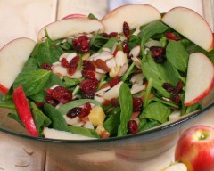 Honey Crisp Apple Spinach Salad