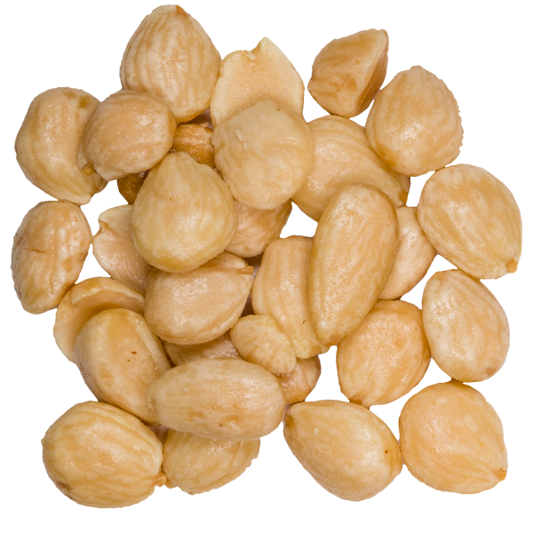 Roasted Salted Marcona Almonds